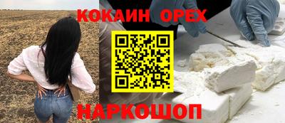 крисы Севастополь