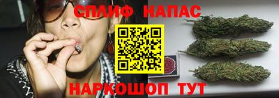 крисы Севастополь