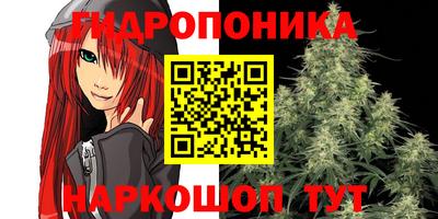 PSILOCYBIN Свободный