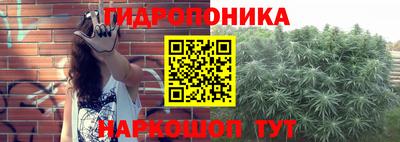 PSILOCYBIN Свободный