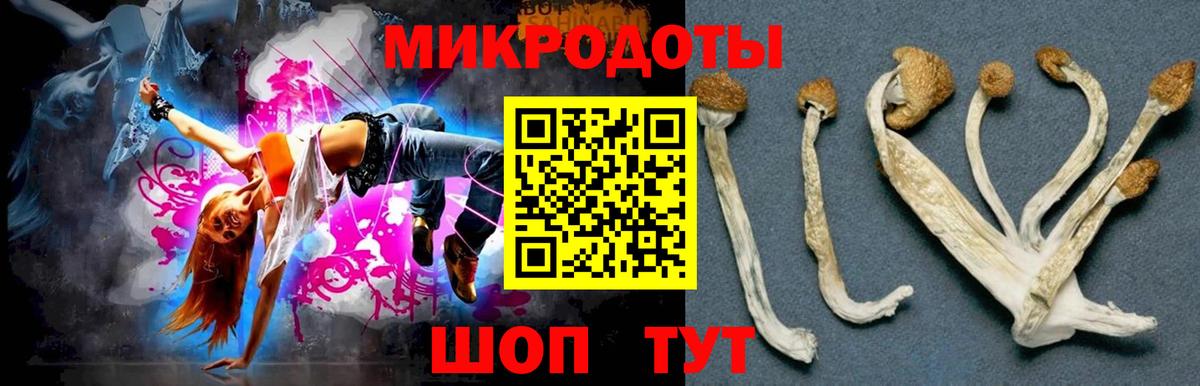 Псилоцибиновые грибы ЛСД Приморско-Ахтарск